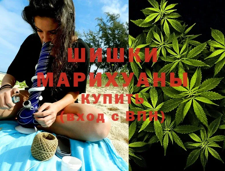 Марихуана OG Kush  как найти закладки  Магадан 